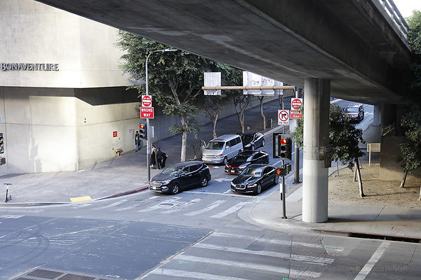 O Refetoff TCSATT 0145