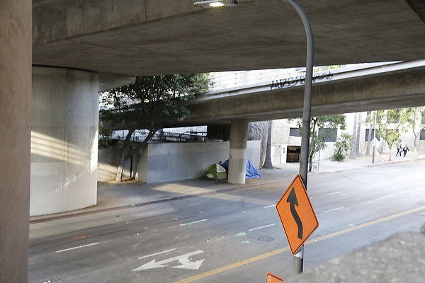 O Refetoff TCSATT 0147