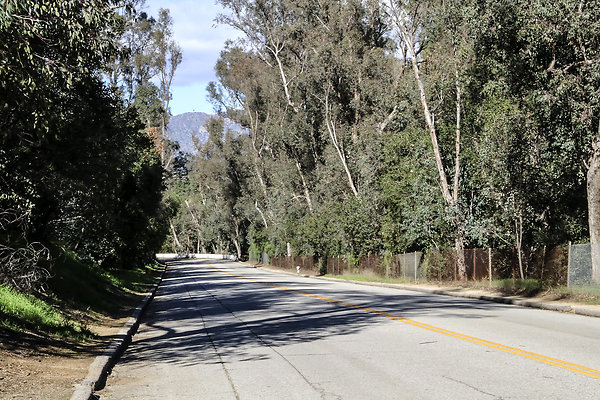 IMG 7749