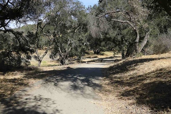 King Gillette back road