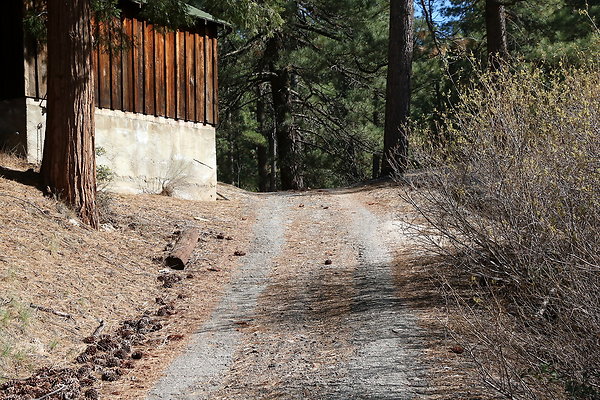 Angeles Forest Christian Camp