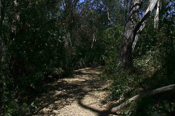 franklin canyon