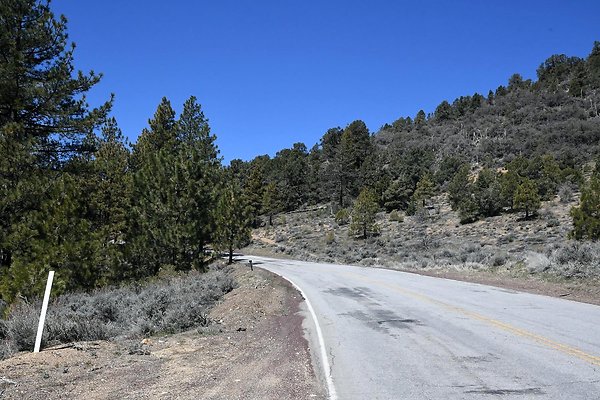Frazier Park Cuddy Valley Rd