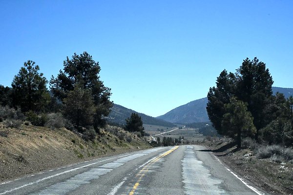 DSC 7083