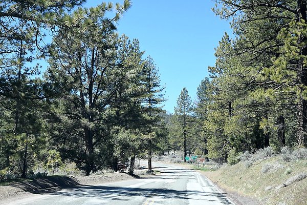 DSC 7059