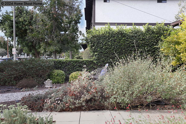 3448-front-yard-66