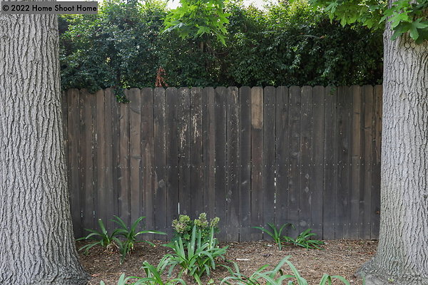46backyard-side-view-reverse