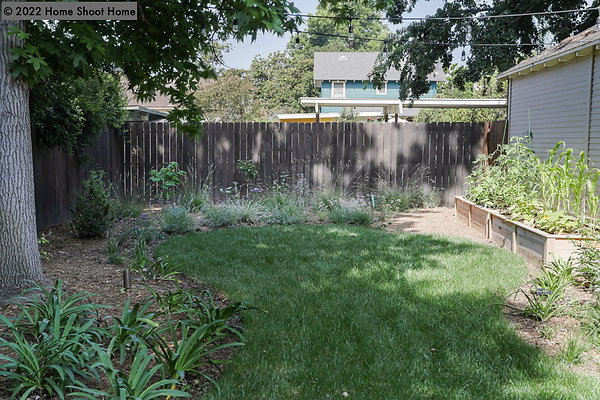 43backyard
