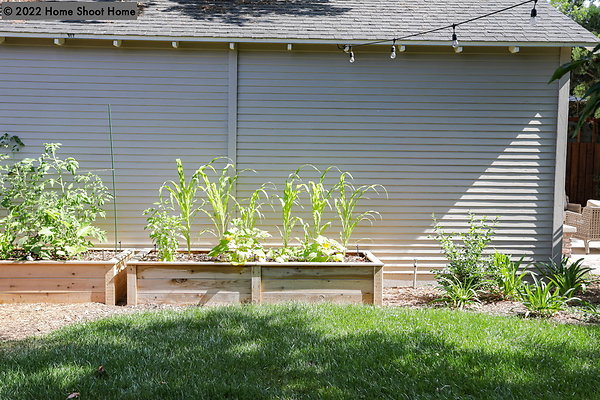 45backyard-side-view
