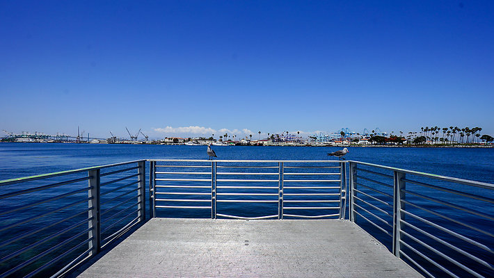 DSC03509