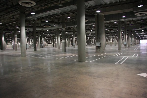 IMG 0995