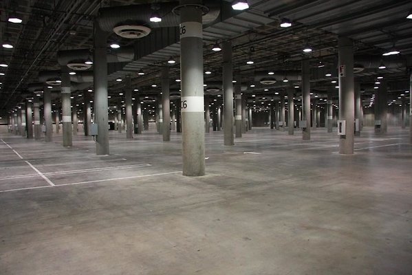 IMG 1004