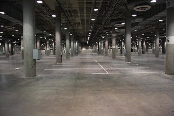 IMG 1003
